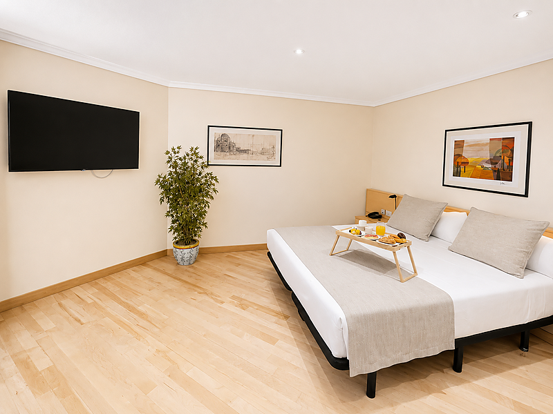 Amplio estudio de hotel con sala de estar, cama y bandeja de desayuno. Apartamentos Parquesur.