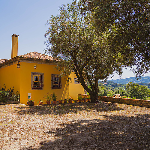 Casa amarilla con patio de piedra y árboles, ideal para Axis: Corporate.