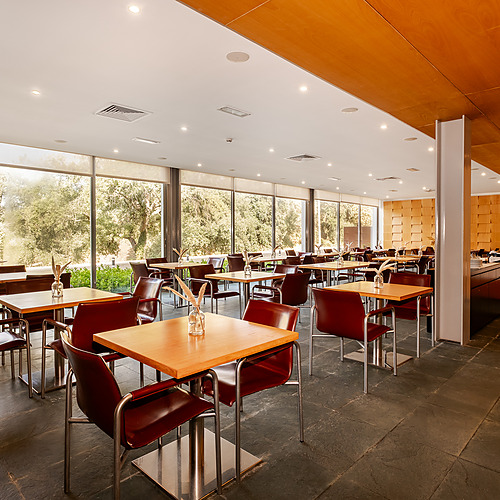 Comedor de hotel con mesas y sillas, amplias ventanas, decoración de madera yAxis: Corporate.