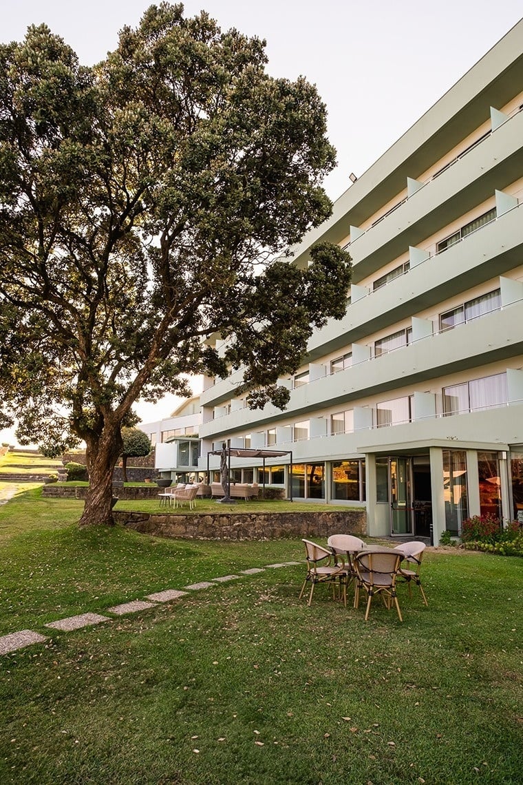 uma grande árvore está em frente a um grande prédio