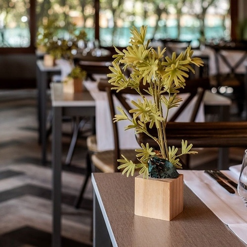 a small potted plant sits on a table in a restaurant