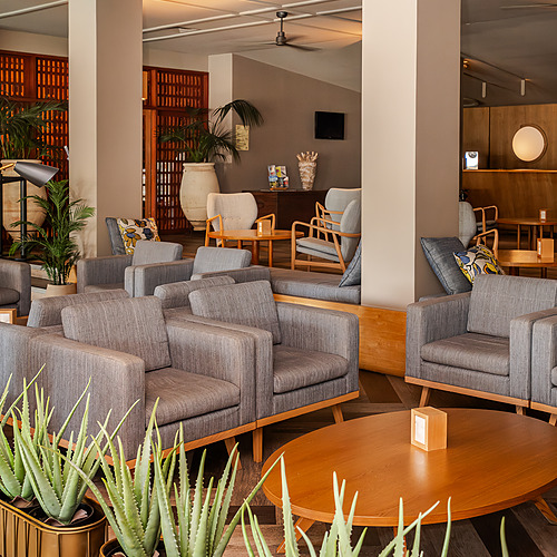 Lounge com poltronas cinza, mesas de centro e plantas em vasos dourados. Axis: Corporate.