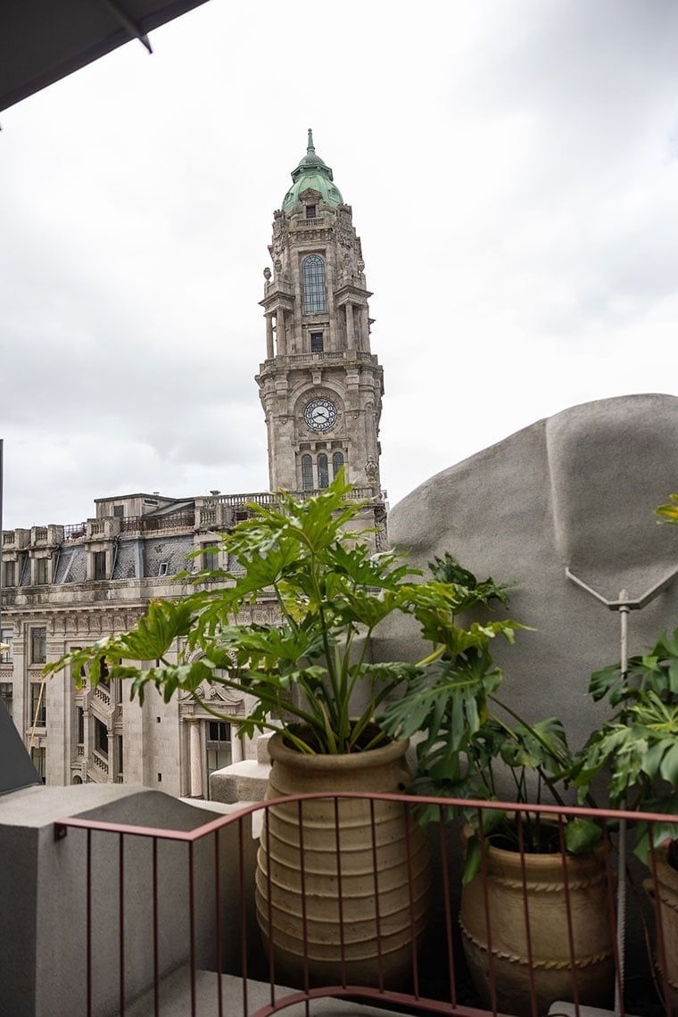 uma planta em uma varanda com uma torre de relógio ao fundo