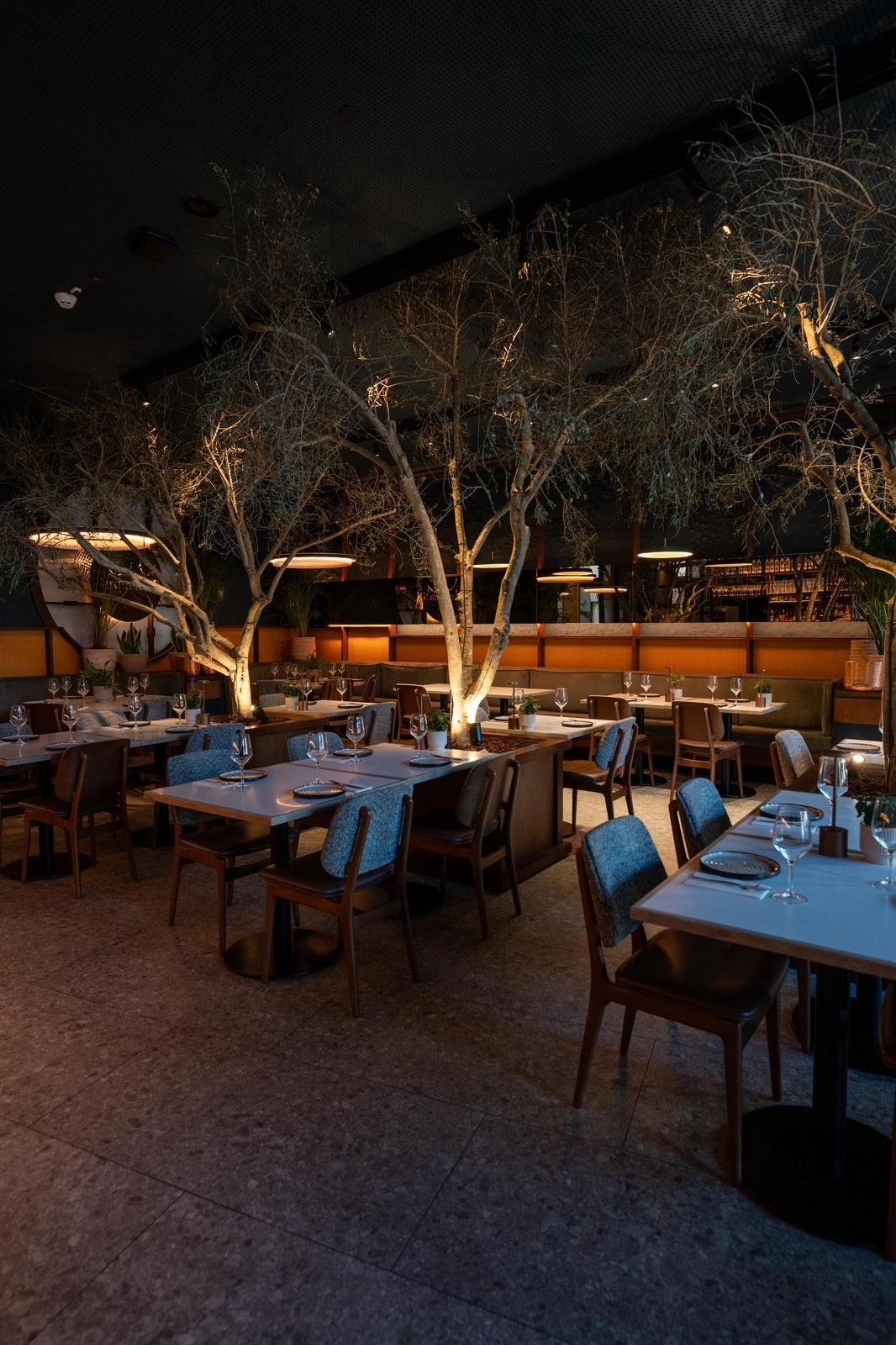 un restaurante lleno de mesas y sillas con un árbol en el medio
