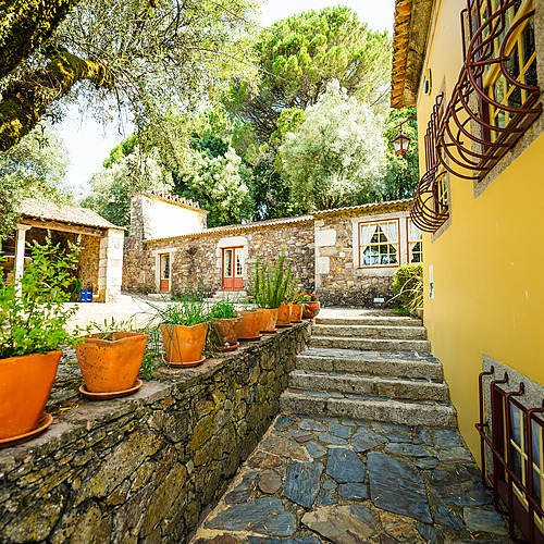 Axis: Corporate: Casa rural con patio de piedra, plantas en macetas y fachada amarilla.