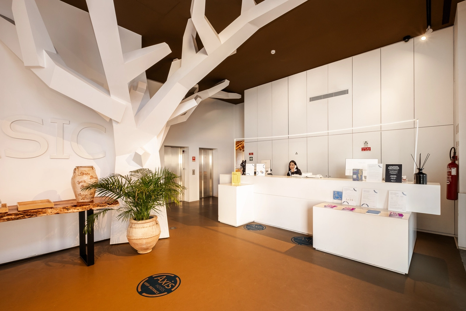 Basic Braga by Axis