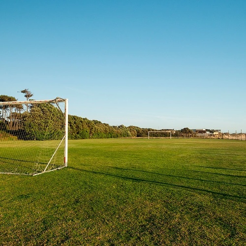 an empty soccer field with a goal and trees in the background
