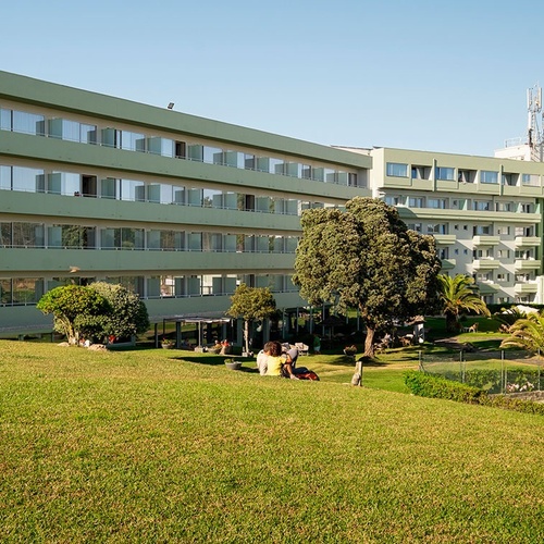 a large green building with a lot of windows