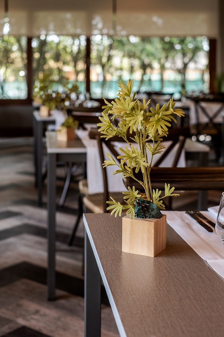 a small potted plant sits on a table in a restaurant