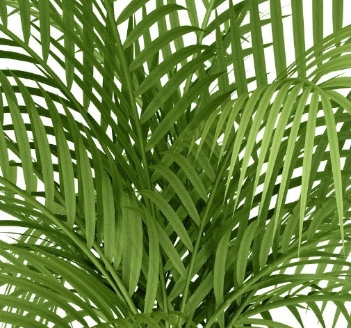 Azoris Hotels & Leisure