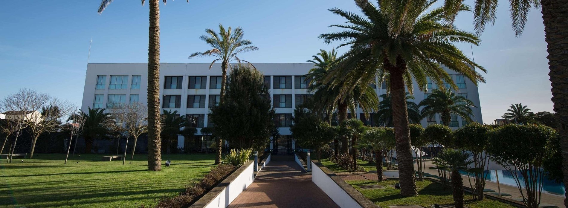 un camino que conduce a un gran edificio blanco rodeado de palmeras