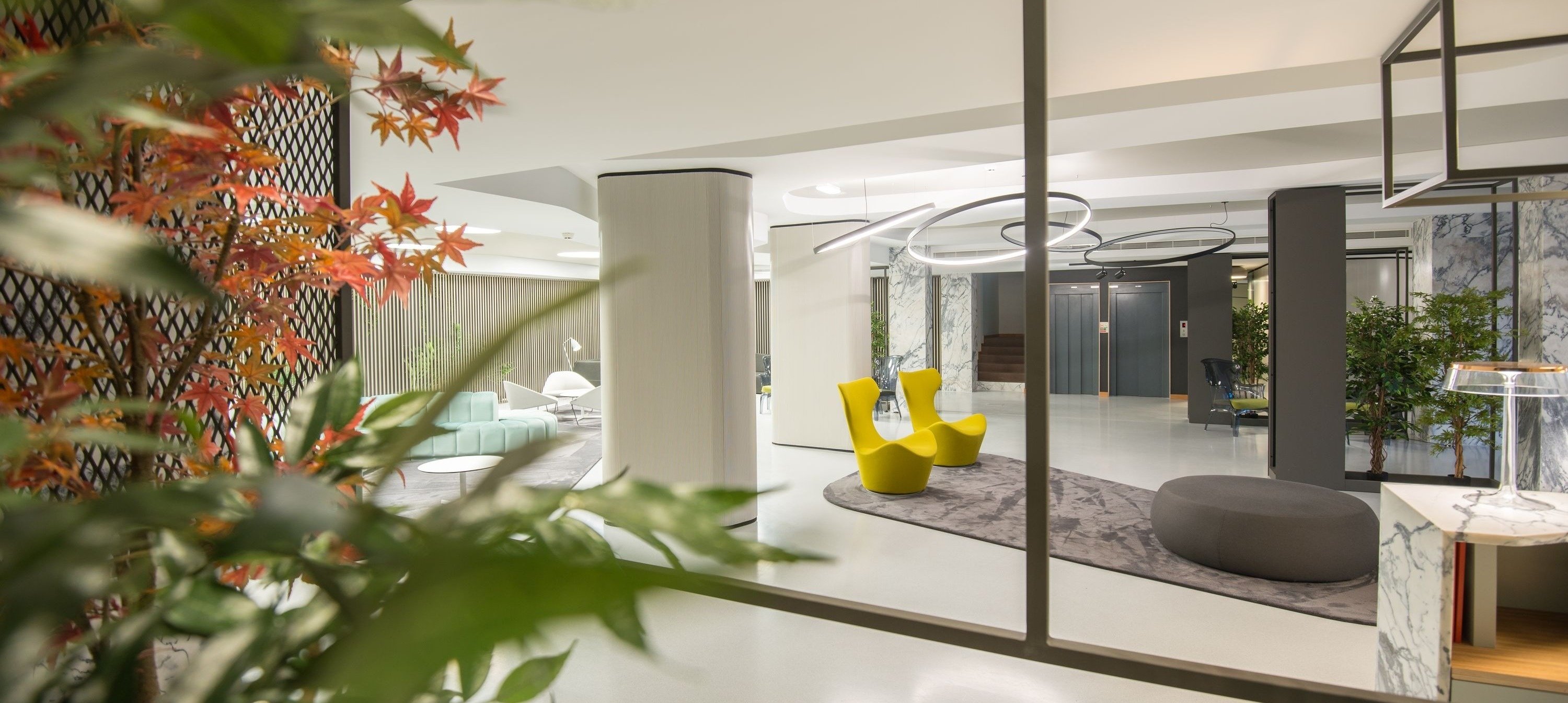 a room with yellow chairs and a plant in the foreground