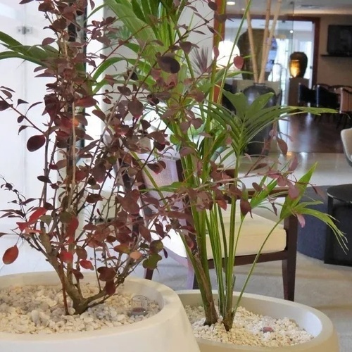 VESTÍBULO DE RECEPCIÓN