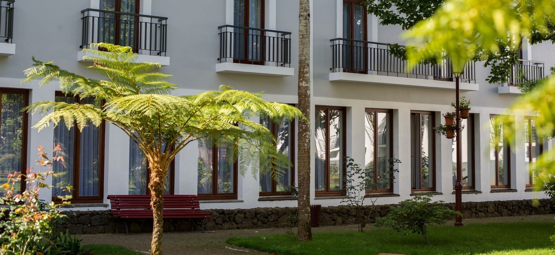 a white building with a palm tree in front of it