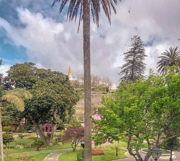 um parque com palmeiras e um gazebo rosa
