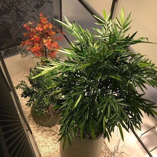 Lobby de la Recepción