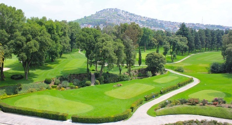 un campo de golf rodeado de árboles y arbustos