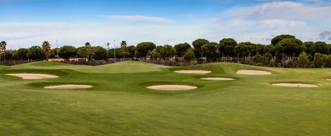 un campo de golf con muchos hoyos y árboles en el fondo