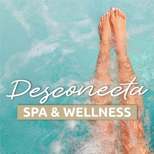 un cartel que dice desconecta spa y bienestar