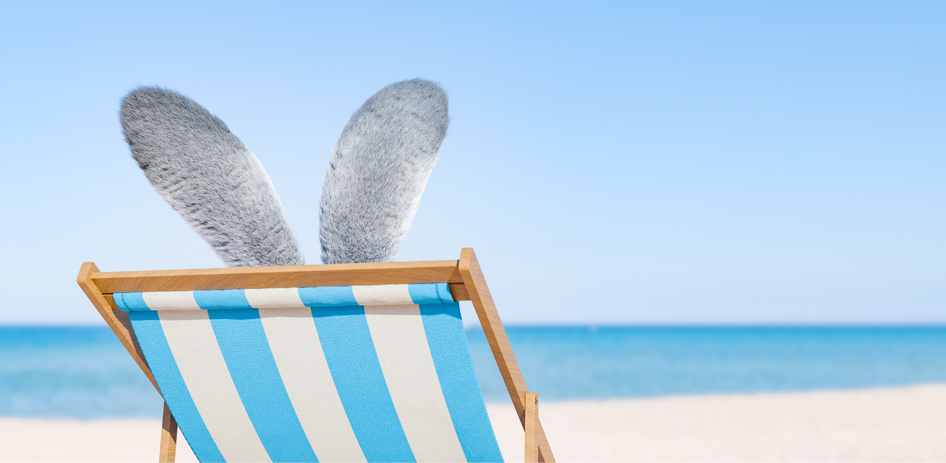 Ovos marrons decorados com padrões brancos estão dispostos em um fundo azul claro com sombras suaves.