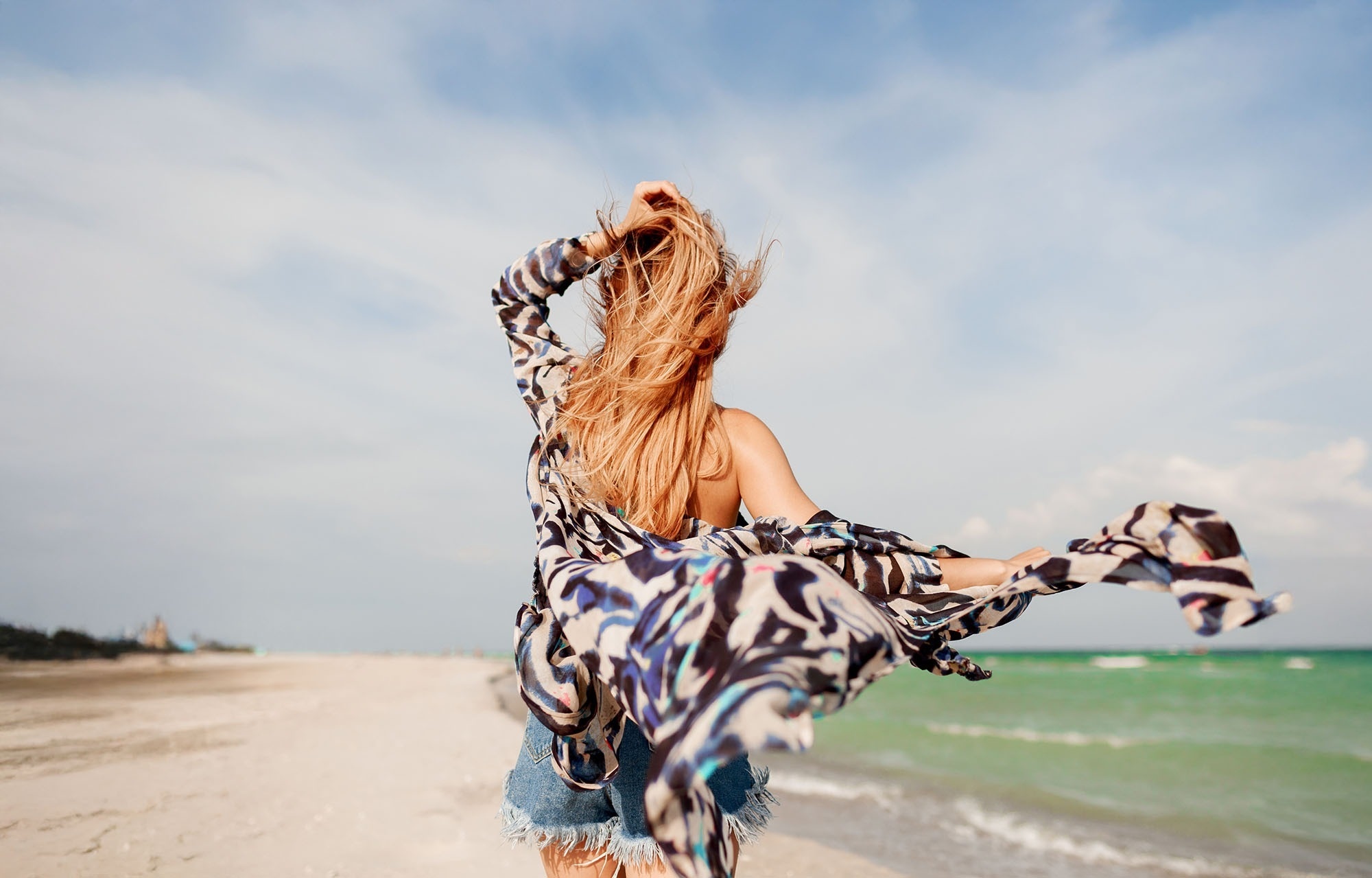 una vista aérea de una playa y el océano