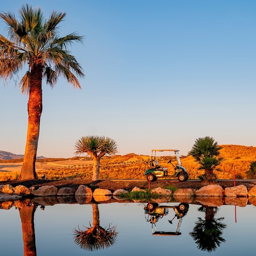 un carrito de golf está estacionado junto a una palmera y un estanque