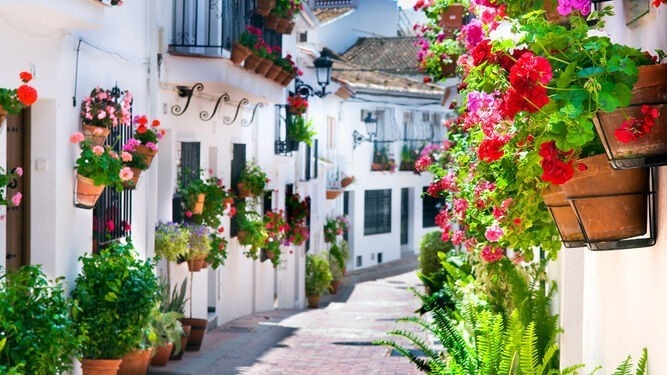 une rue étroite bordée de maisons blanches et de pots de fleurs .