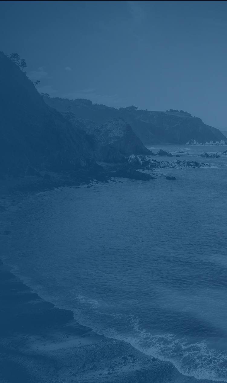 modify_section.pictures.0.altText