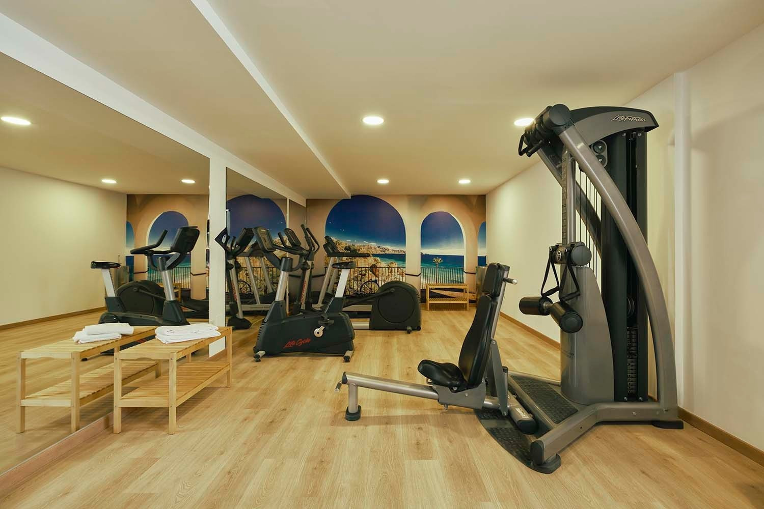 Gimnasio moderno en Villa Flamenca | Beneste Hoteles
