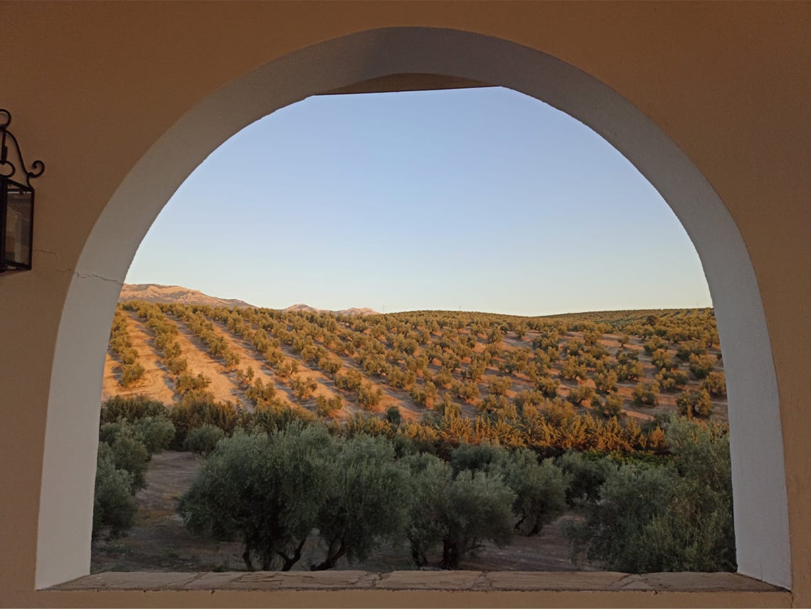 Beneste Hoteles