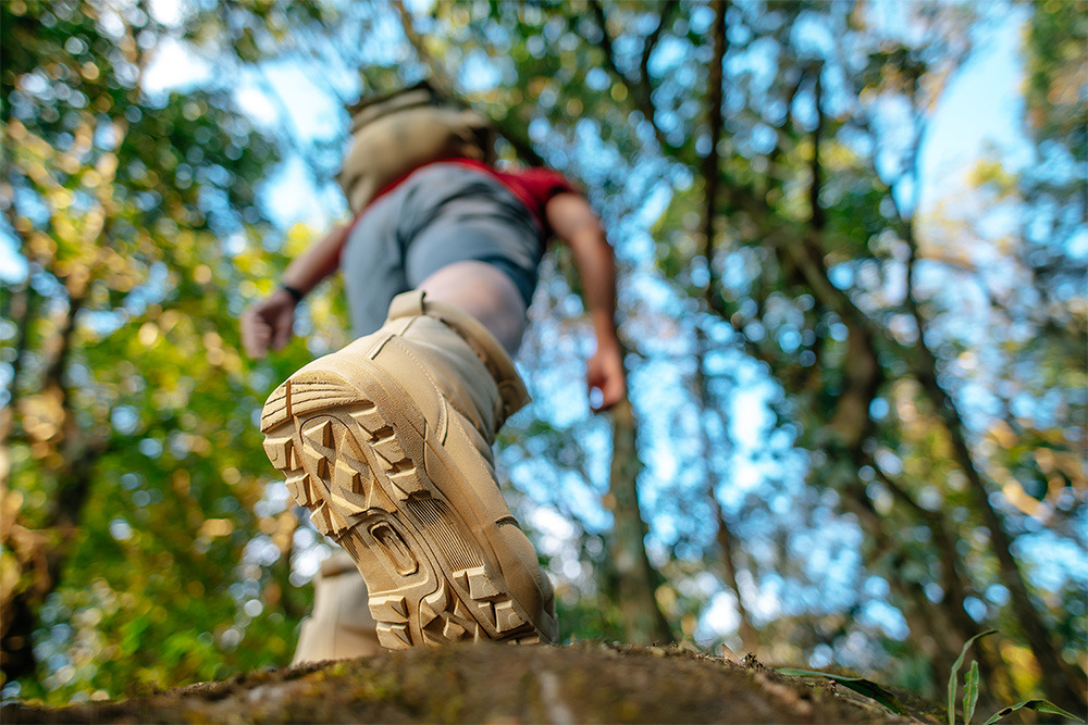 Botas de senderismo en un sendero de bosque, perfectas para BENESTE: Corporativa.