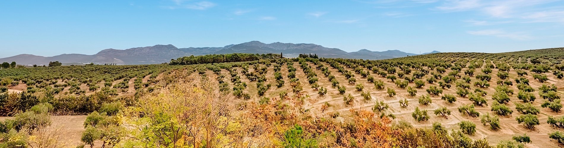 BENESTE: Corporate views of sea and mountains from white Andalusian hotel.