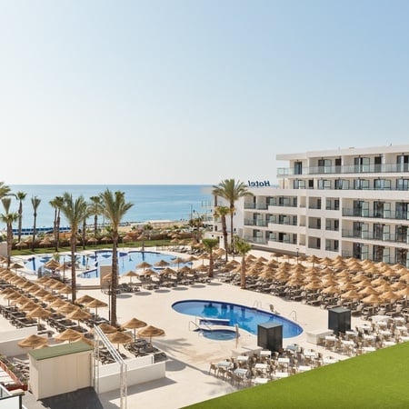 Best Oasis Tropical