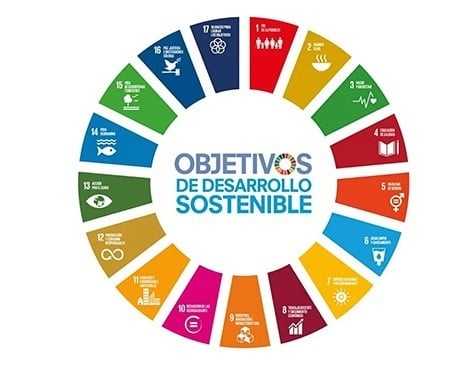 Valores Sociales y Culturales 