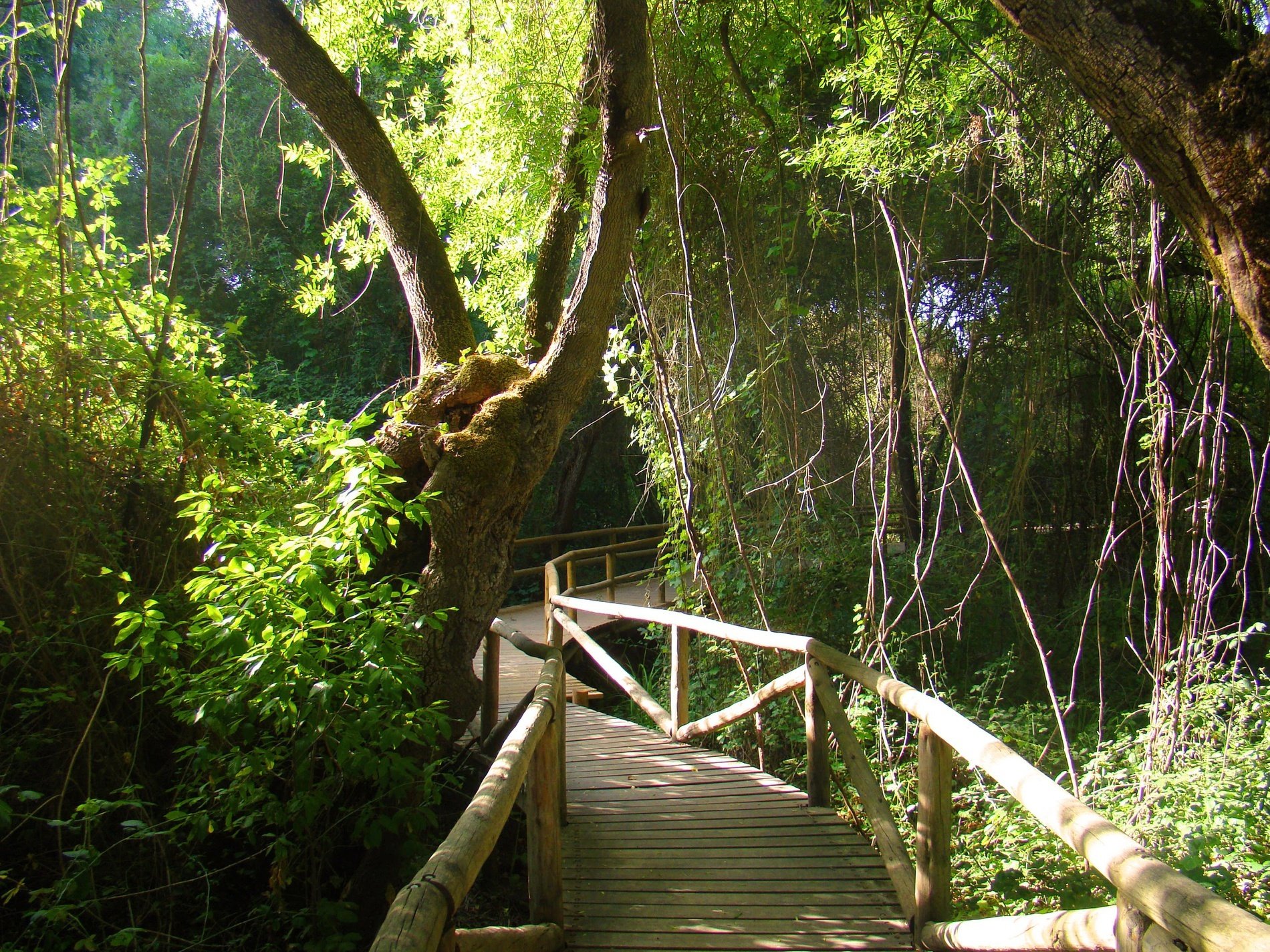 Naturaleza y deporte