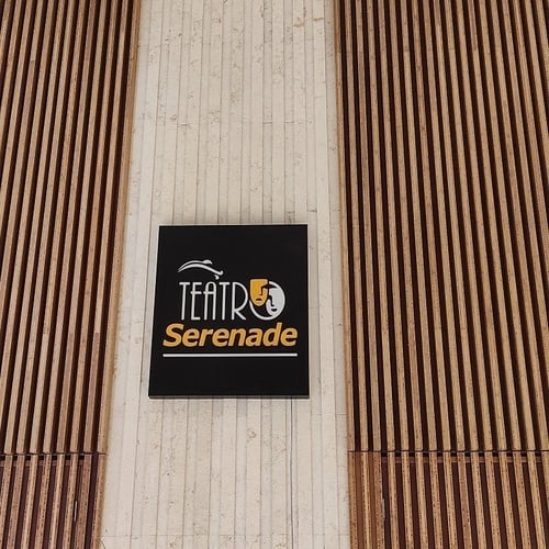 черный знак на стене театра serenade