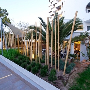 ein weißes Gebäude mit Bamboo-Pflanzen vorne