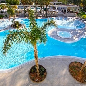 una gran piscina rodeada de palmeras y sillas