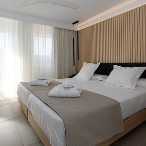 una habitación con dos camas y una televisión