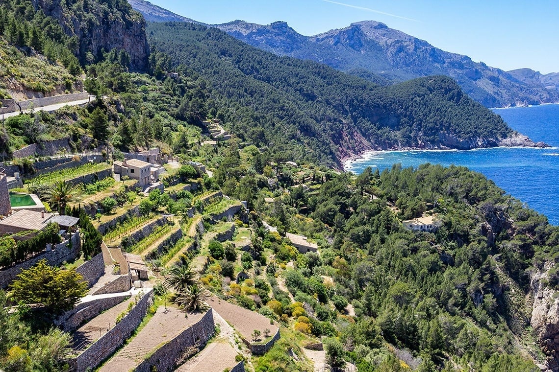 un paesaggio di montagne e alberi con l' oceano sullo sfondo