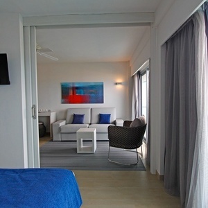 una habitación con una cama y un sofá y una televisión