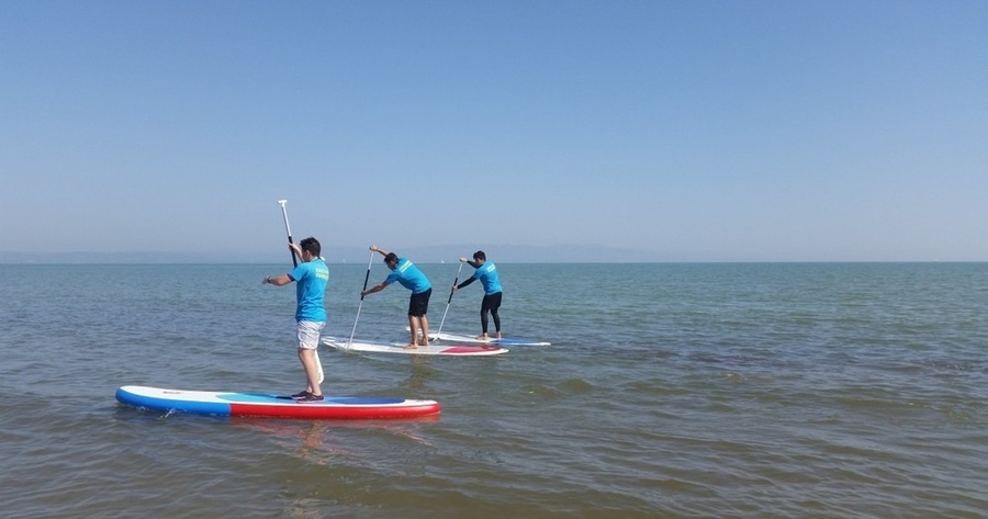 tres hombres están en tablas de surf en el océano