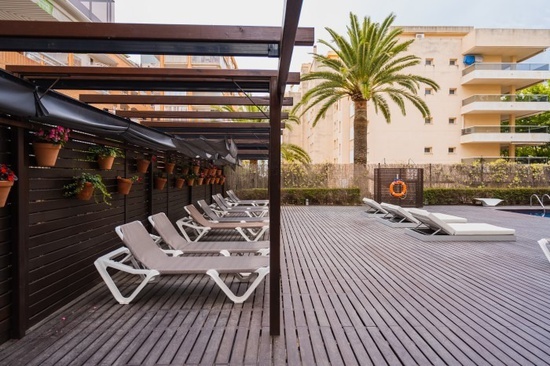 una piscina rodeada de tumbonas y una palmera