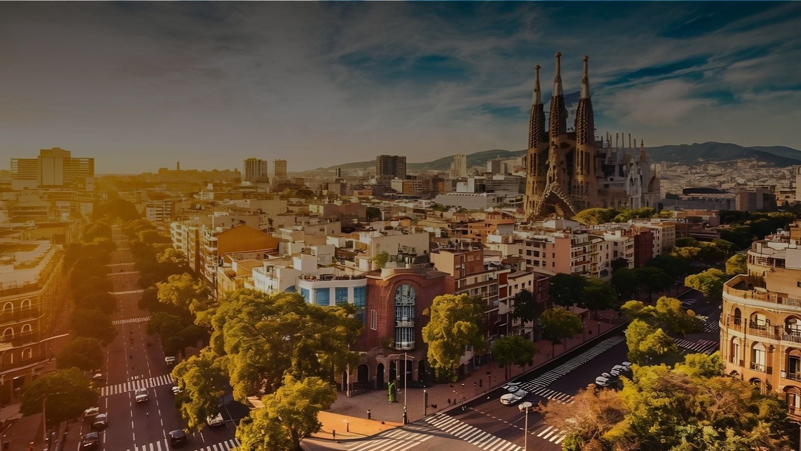 una vista aérea de una playa y el océano
