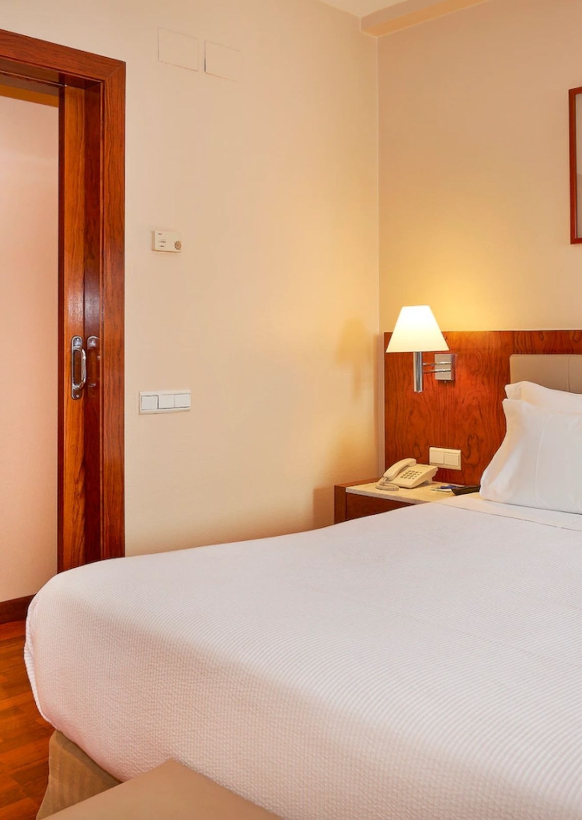 un primer plano de una hoja en una rama de un árbol