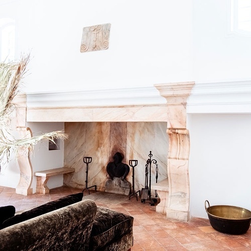 una chimenea en una habitación con un sofá y una planta