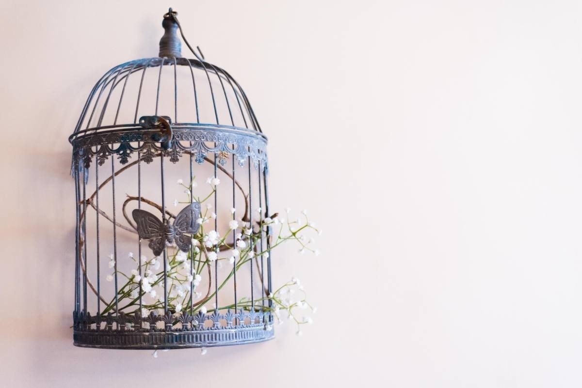 a bird cage with flowers inside of it