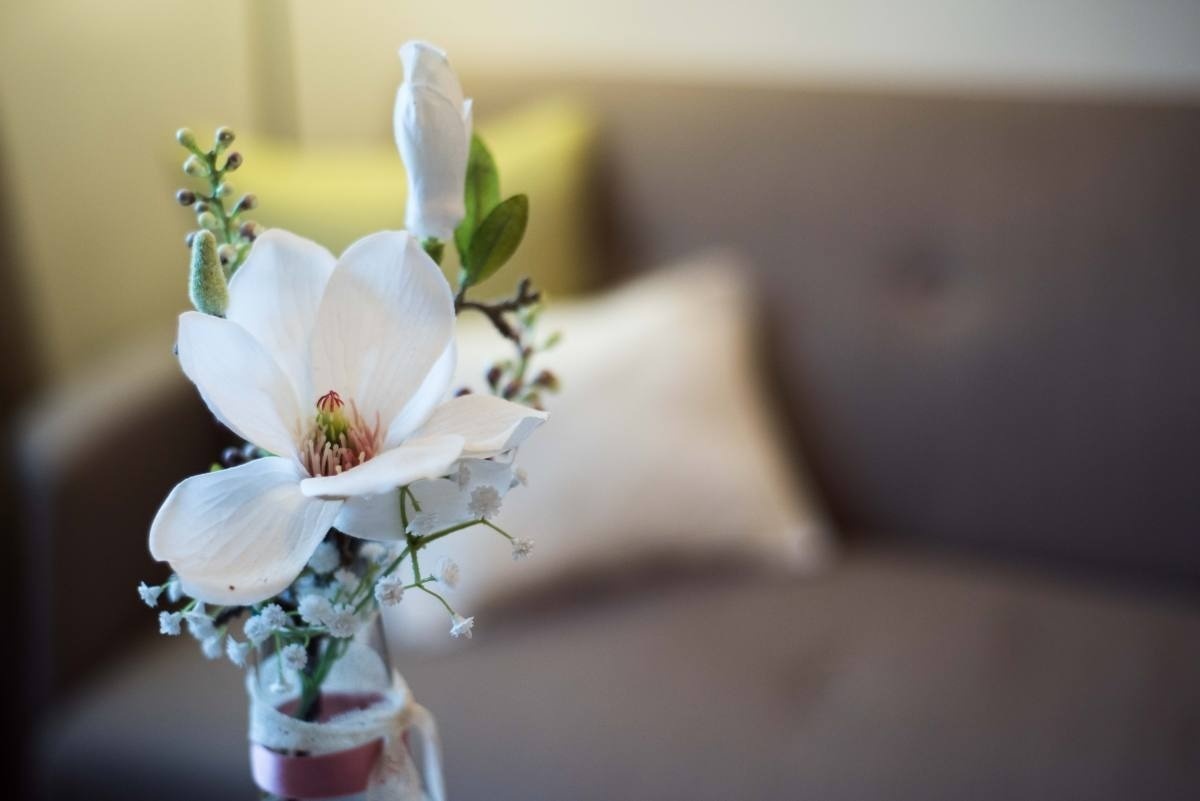 a white flower in a vase with a couch in the background