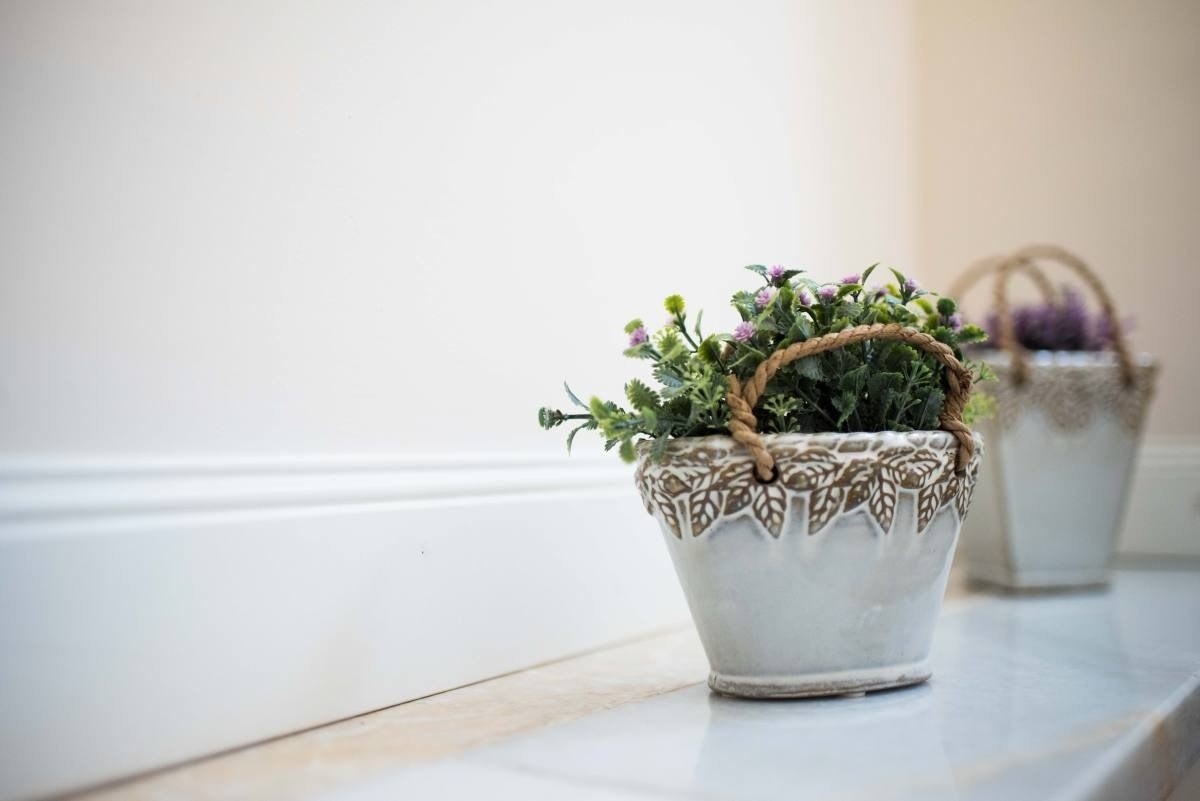 a potted plant with a rope handle sits on a ledge