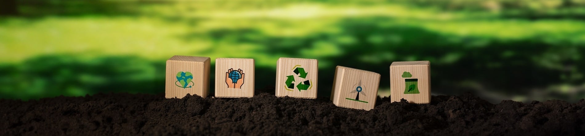 a row of wooden blocks with environmental icons on them